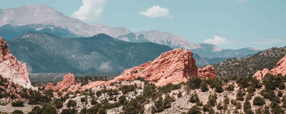 Cover Image for Buying Social Media Followers To Grow Your Project