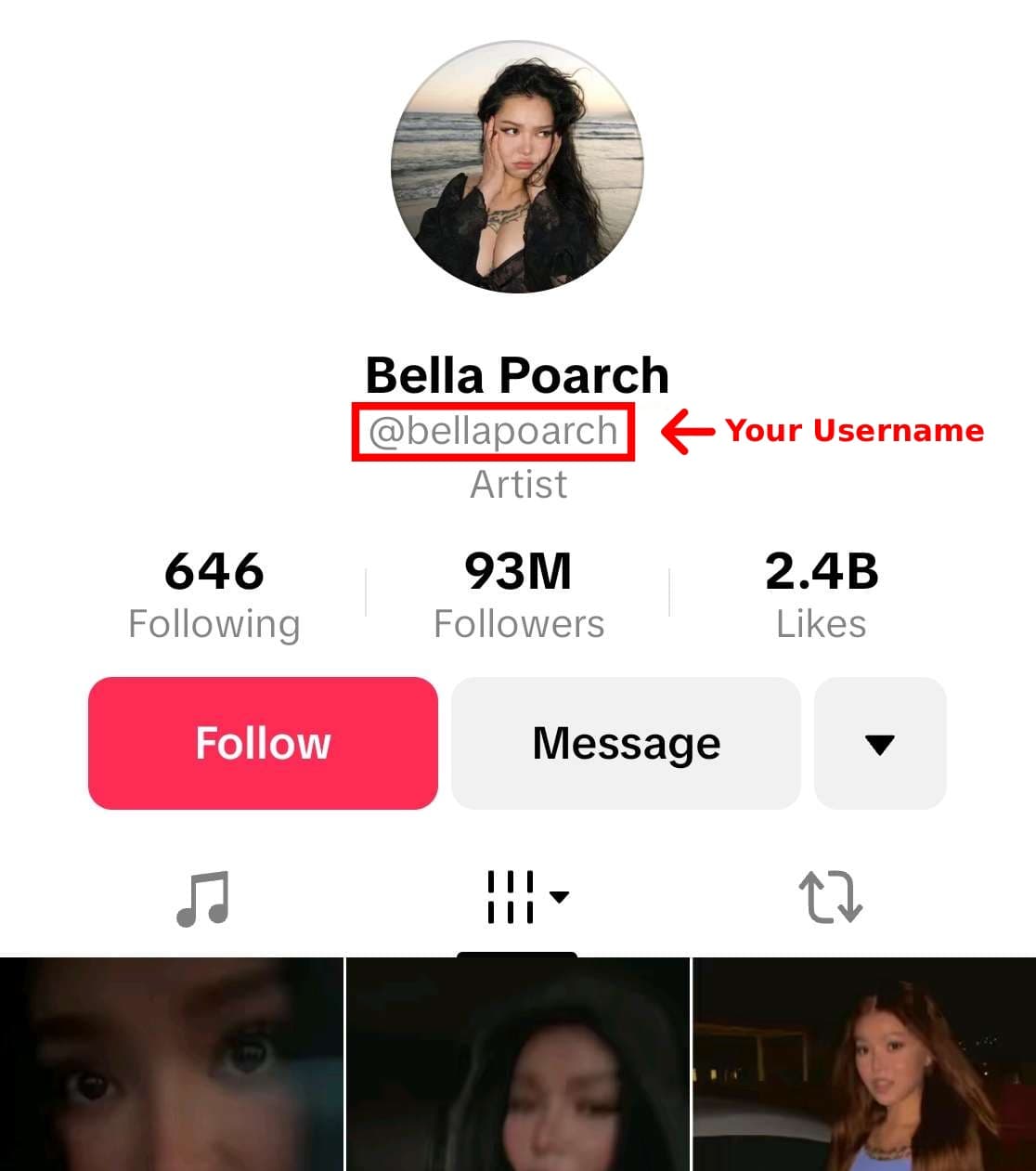 TikTok username helper